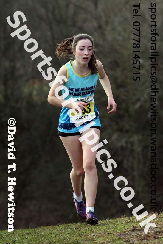 Womens under-17s and 20s North Eastern Cross Country, Aykley Heads, Durham. Photo: David T. Hewitson/Sports for All Pics